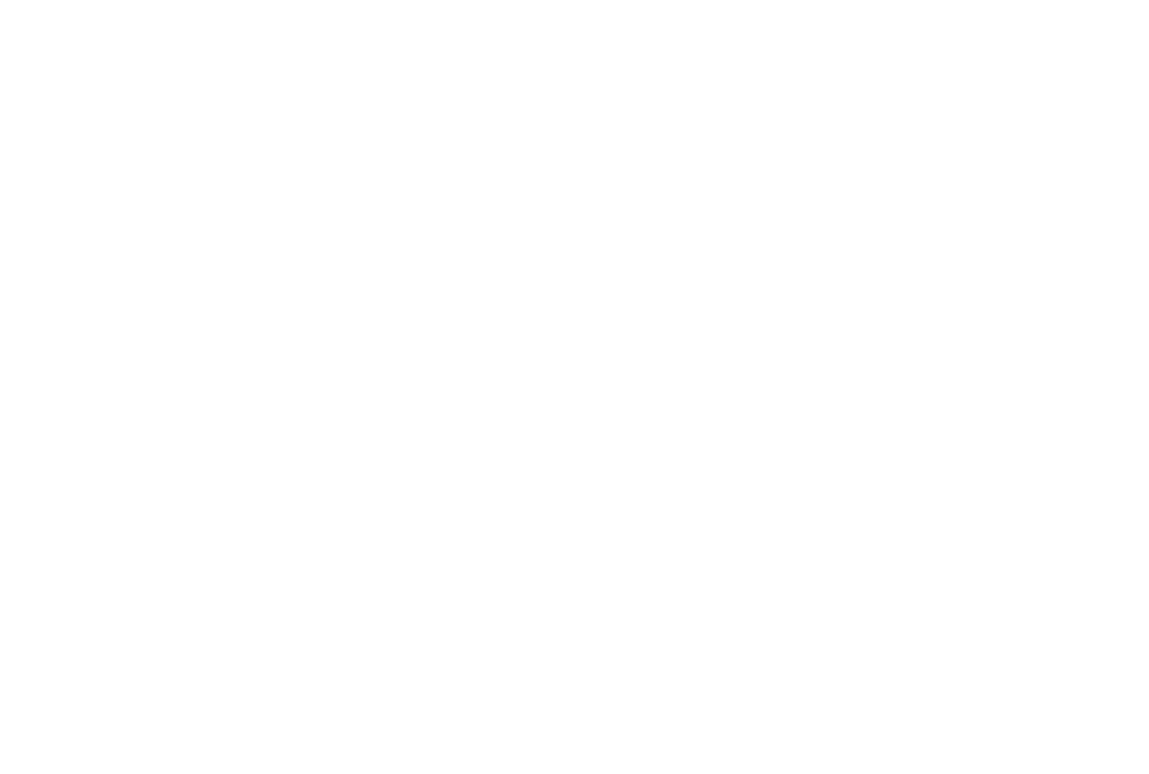 The Teacher