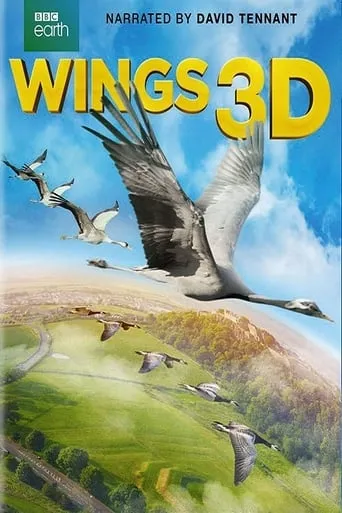 Wings 3D movie poster - Rated 10/10