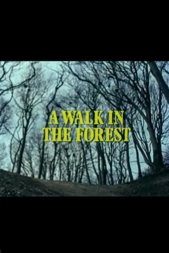 A Walk in the Forest movie poster - Entertainment content