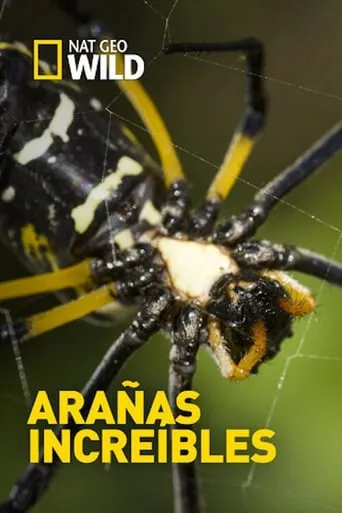 Incredible Spiders movie poster - Rated 6/10