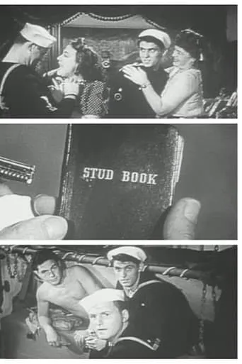 USS VD: Ship of Shame movie poster - Rated 4.4/10