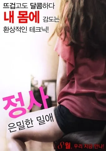 Love Affair: A Secret Affair movie poster - Rated 5/10