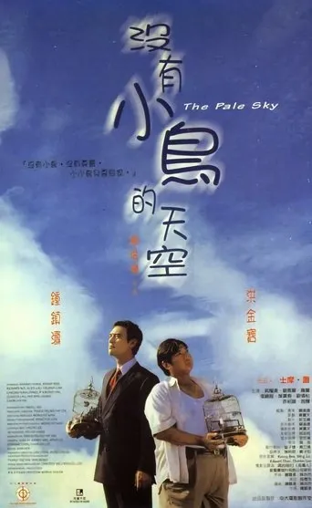 The Pale Sky movie poster - Rated 7.5/10