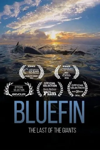 Bluefin movie poster - Rated 7.2/10