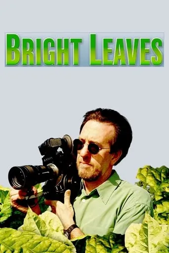 Bright Leaves movie poster - Rated 6.8/10
