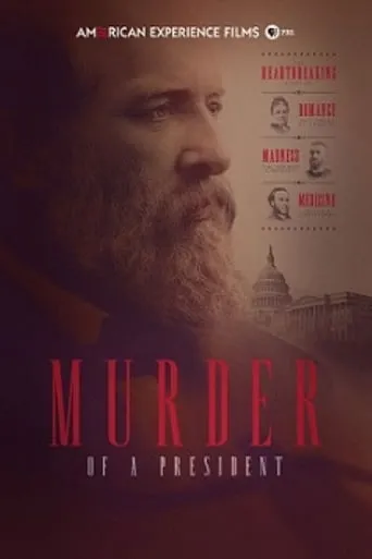 Murder of a President movie poster - Rated 7.6/10