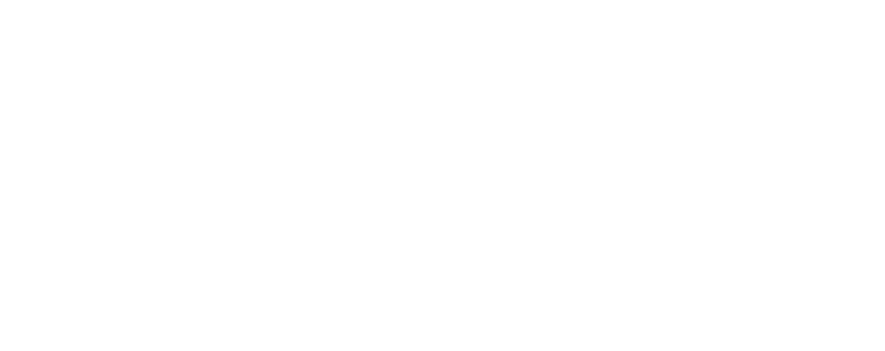 Mosquito