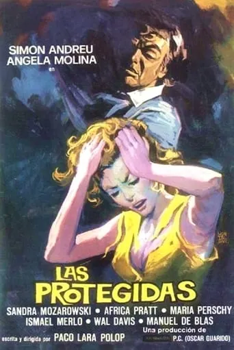 The Protected movie poster - Rated 3.5/10
