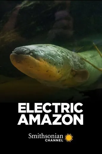 Electric Amazon movie poster - Rated 6.7/10