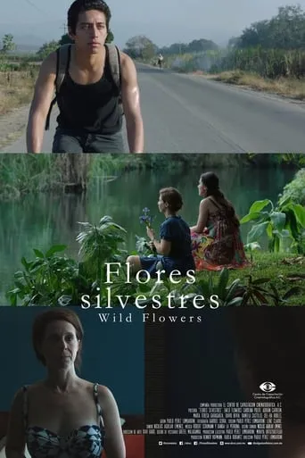 Wild Flowers movie poster - Rated 5.3/10