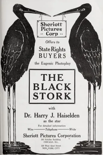 The Black Stork movie poster - Rated 4.5/10