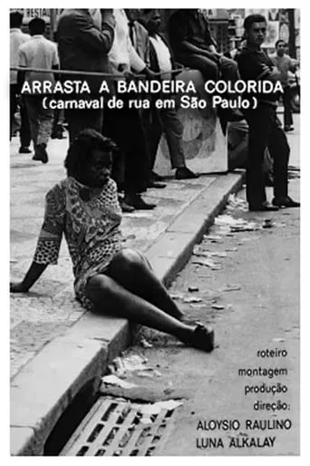 Arrasta a Bandeira Colorida movie poster - Entertainment content