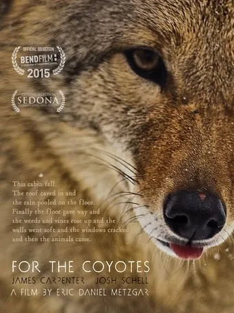 For the Coyotes movie poster - Rated 8/10