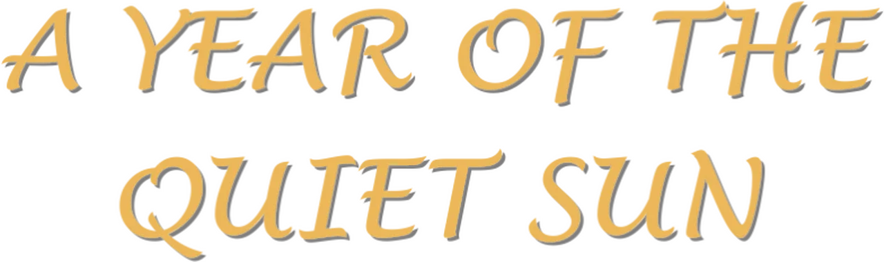 A Year of the Quiet Sun
