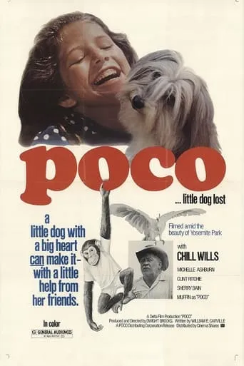 Poco… Little Dog Lost movie poster - Rated 4/10
