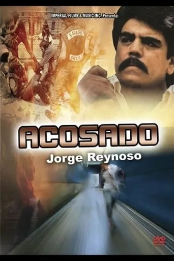 Acosado movie poster - Rated 5/10