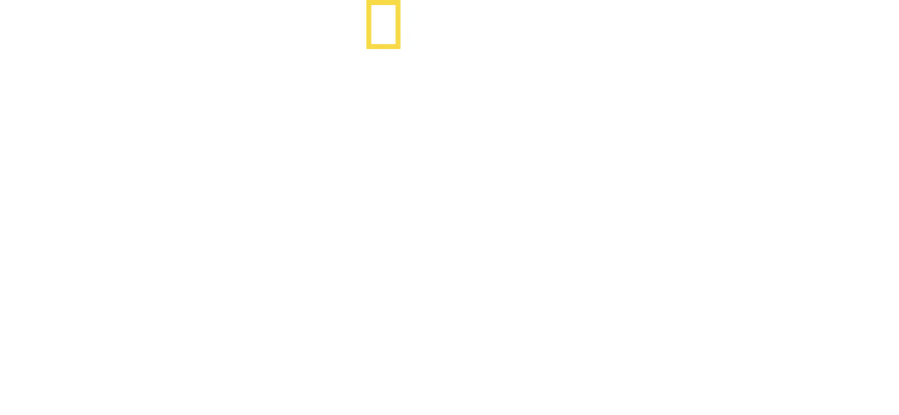 China's Megatomb Revealed