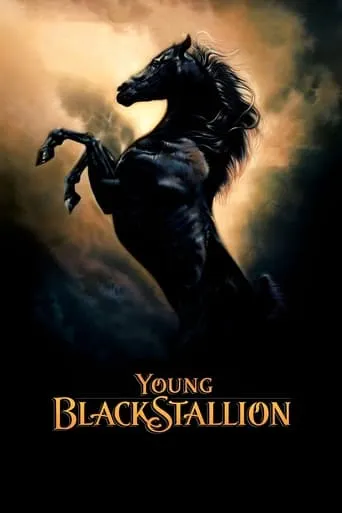 Young Black Stallion movie poster - Rated 6.6/10