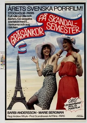 Crazy Swedish Holidays in Paris movie poster - Rated 1/10