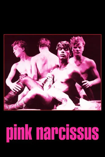 Pink Narcissus movie poster - Rated 6.213/10