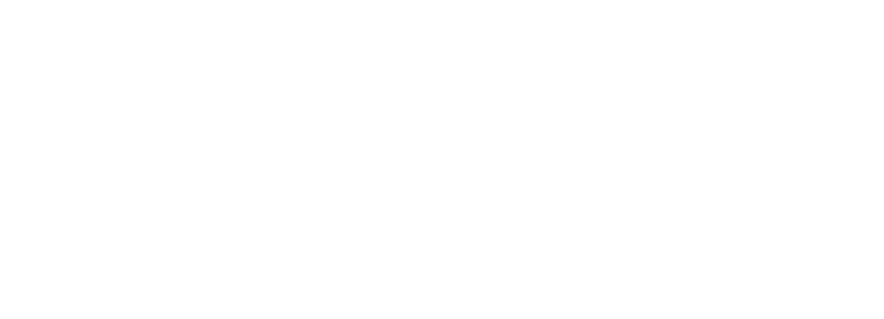 The Guardians
