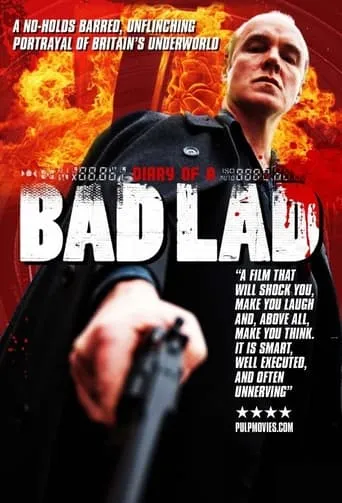 Diary of a Bad Lad movie poster - Rated 3.8/10