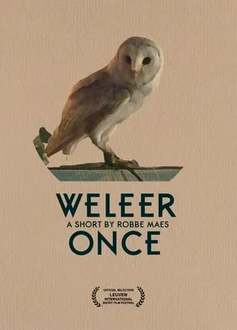 Once movie poster - Rated 10/10