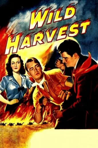 Wild Harvest movie poster - Entertainment content