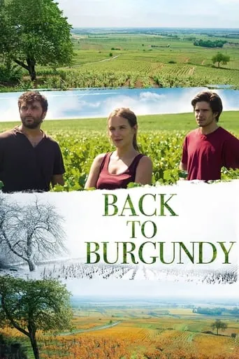 Back to Burgundy movie poster - Rated 6.865/10
