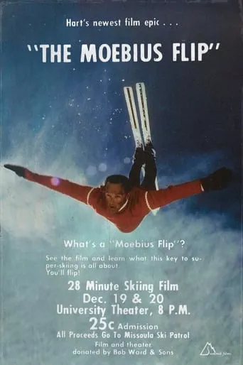 The Moebius Flip movie poster - Rated 9/10