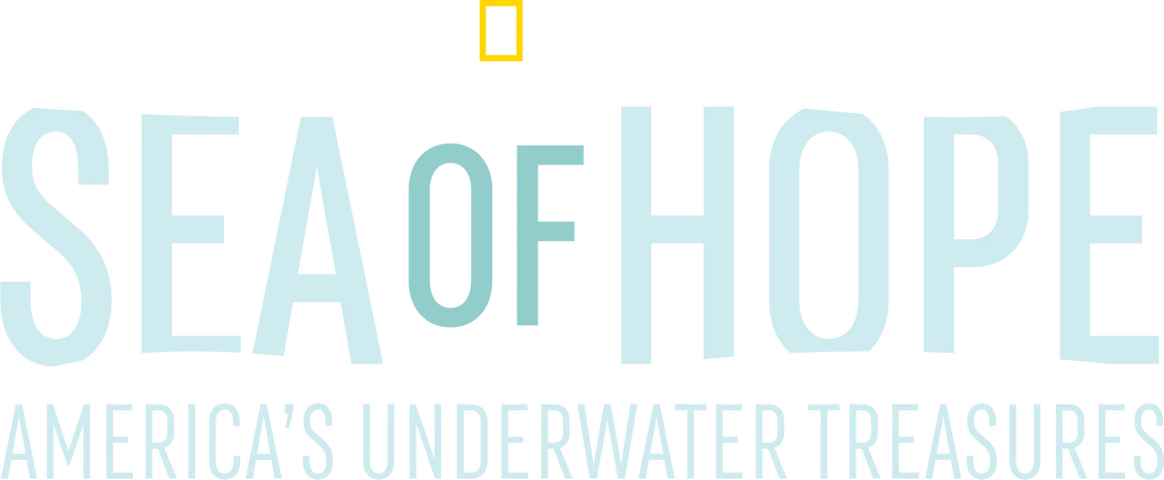 Sea of Hope: America's Underwater Treasures