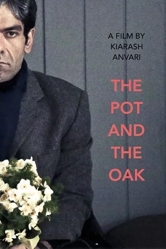 The Pot and the Oak movie poster - Rated 7.8/10