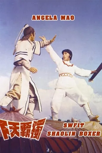 Swift Shaolin Boxer movie poster - Rated 6.5/10