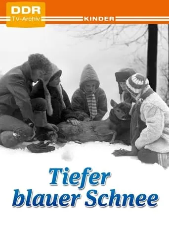Deep Blue Snow movie poster - Entertainment content