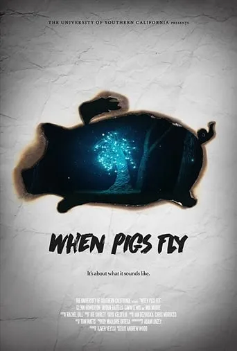 When Pigs Fly movie poster - Rated 4.5/10