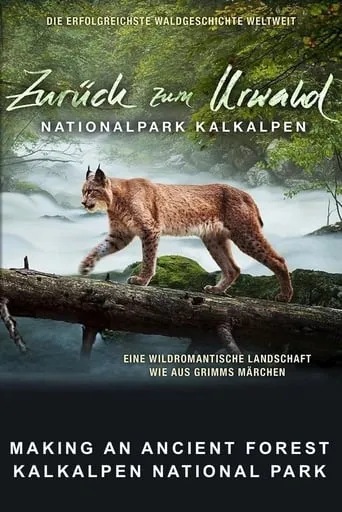 Making An Ancient Forest - Kalkalpen National Park movie poster - Rated 8.5/10