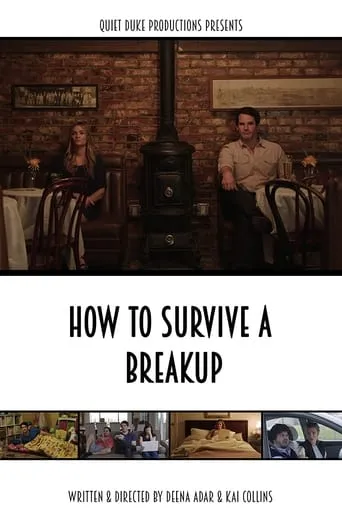 How to Survive a Breakup movie poster - Rated 4.4/10
