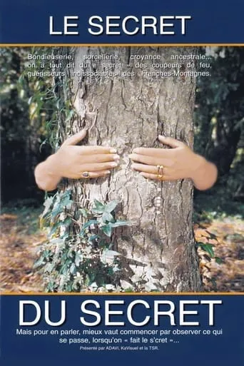 The Secret of the Secret movie poster - Entertainment content