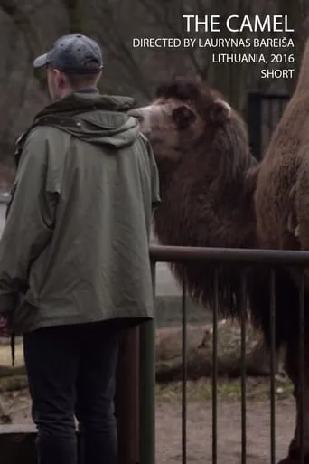 The Camel movie poster - Entertainment content