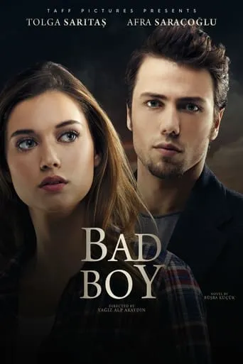 Bad Boy movie poster - Rated 4.6/10