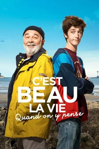 Accidental Family movie poster - Rated 5.696/10