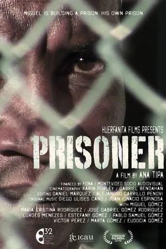Prisoner movie poster - Rated 6.3/10