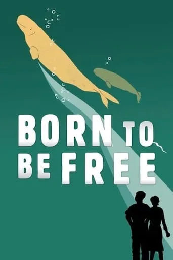 Born to Be Free movie poster - Rated 6.6/10