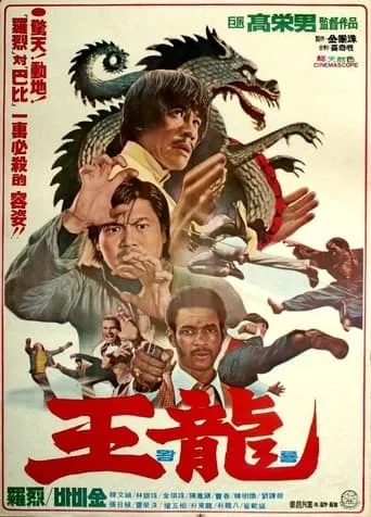 Deadly Kick movie poster - Rated 2/10