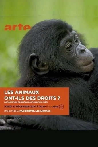 Les animaux ont ils des droits? movie poster - Rated 7.5/10