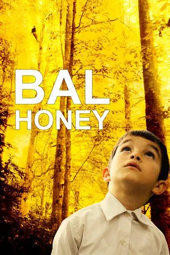 Honey movie poster - Rated 6.7/10