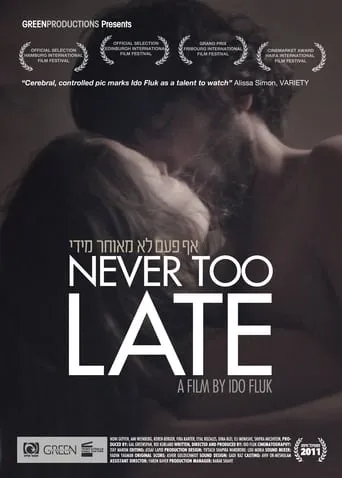 Never Too Late movie poster - Rated 3.5/10