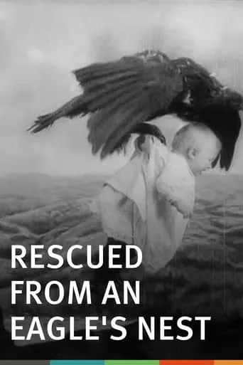 Rescued from an Eagle's Nest movie poster - Rated 5.5/10