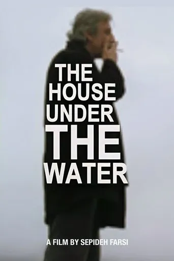 The House under the Water movie poster - Rated 5.5/10