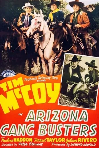 Arizona Gang Busters movie poster - Rated 5/10